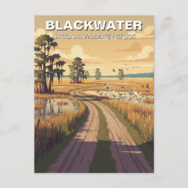 Blackwater National Wildlife Refuge Maryland Postkarte