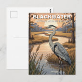 Blackwater National Wildlife Refuge Maryland Postkarte (Vorne/Hinten)