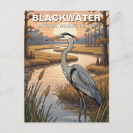 Blackwater National Wildlife Refuge Maryland Postkarte