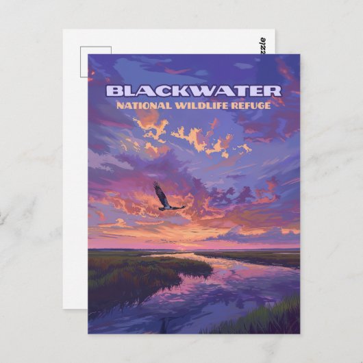 Blackwater National Wildlife Refugium Park Marylan Postkarte (Vorne/Hinten)