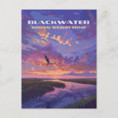 Blackwater National Wildlife Refugium Park Marylan Postkarte (Vorderseite)