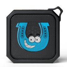 BlackWater Outdoor Bluetooth-Lautsprecher