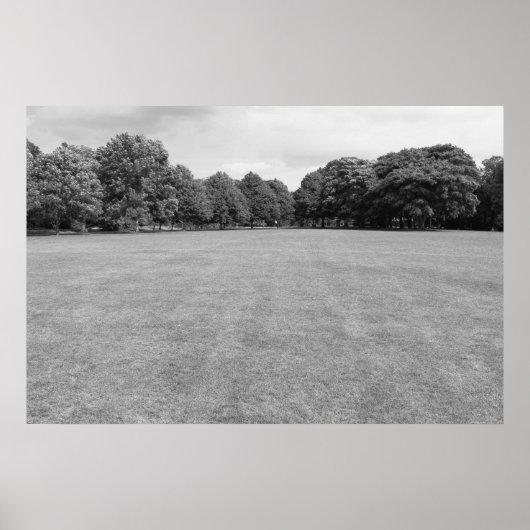 Blackweir Felder, Bute Park, Cardiff. (B&W) Poster (Vorne)