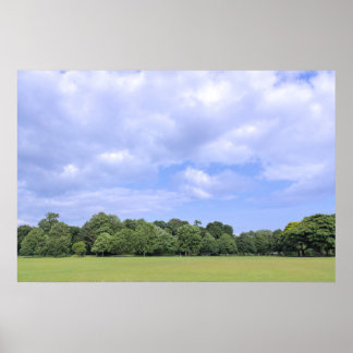 Blackweir Fields. Bute Park, Cardiff, Wales. Poster