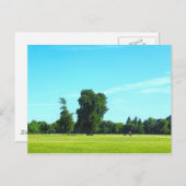 Blackweir Fields. Bute Park, Cardiff, Wales. Postkarte (Vorne/Hinten)