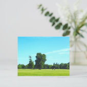 Blackweir Fields. Bute Park, Cardiff, Wales. Postkarte (Stehend Vorderseite)