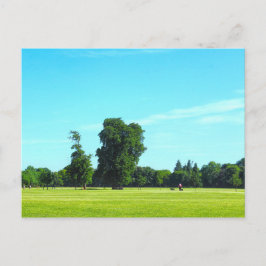 Blackweir Fields. Bute Park, Cardiff, Wales. Postkarte
