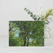 Blackweir Woods, Bute Park, Cardiff Wales Karte (Stehend Vorderseite)