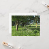 Blackweir Woods, Bute Park, Cardiff Wales Karte (Vorderseite/Rückseite Beispiel)