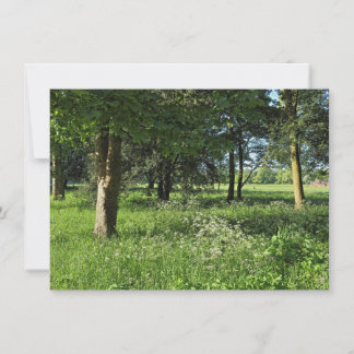 Blackweir Woods, Bute Park, Cardiff Wales Karte