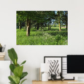 Blackweir Woods, Bute Park, Cardiff Wales Poster (Heimbüro)