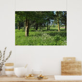 Blackweir Woods, Bute Park, Cardiff Wales Poster (Küche)