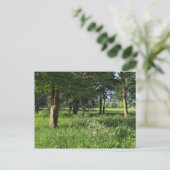 Blackweir Woods, Bute Park, Cardiff Wales Postkarte (Stehend Vorderseite)