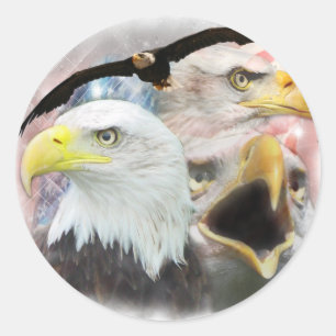 Blad Eagles Runder Aufkleber