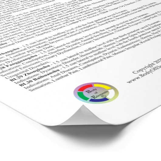 Bladder Meridian Acupuncture Points Poster (Ecke)