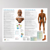 Bladder Meridian Acupuncture Points Poster (Vorne)