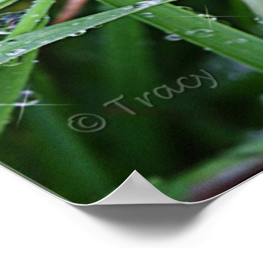 Blade Runner Poster (Ecke)