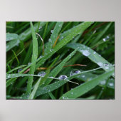 Blade Runner Poster (Vorne)