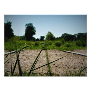 "Blades of Cultivation" Fotodruck