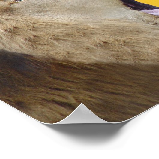 Blah, Blah, Blah! Lion Poster Print (Ecke)