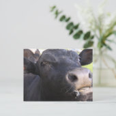 Blah Postkarte (Stehend Vorderseite)