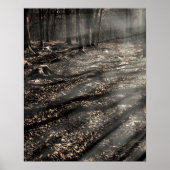 Blair Witch....da drüben! Poster (Vorne)