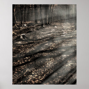 Blair Witch....da drüben! Poster