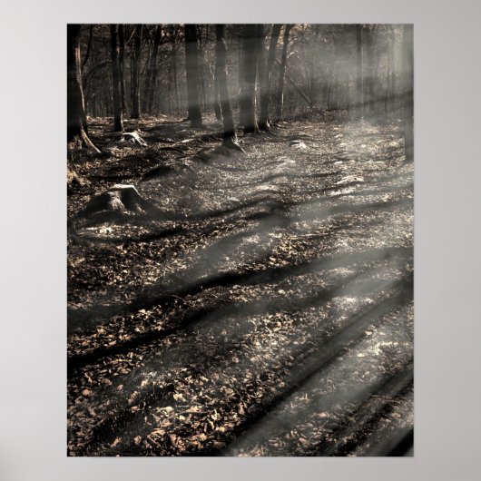 Blair Witch....da drüben! Poster (Vorne)