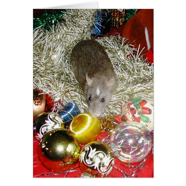 Blaize und die Bauern (Vorne)