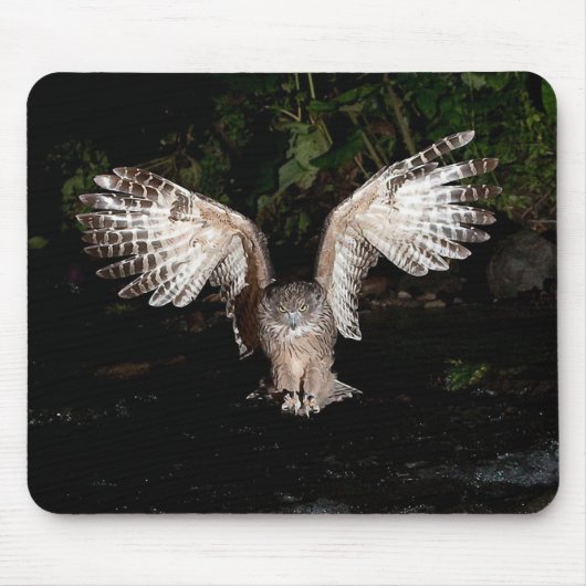Blakiston's fish owl mousepad (Vorne)