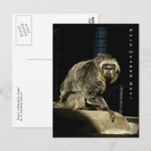 Blale Headed Saki Postkarte (Vorne/Hinten)