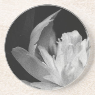 Blanc Sandstein Untersetzer