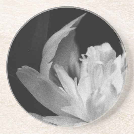 Blanc Sandstein Untersetzer (Vorne)