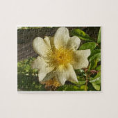 Blanca flor puzzle (Horizontal)
