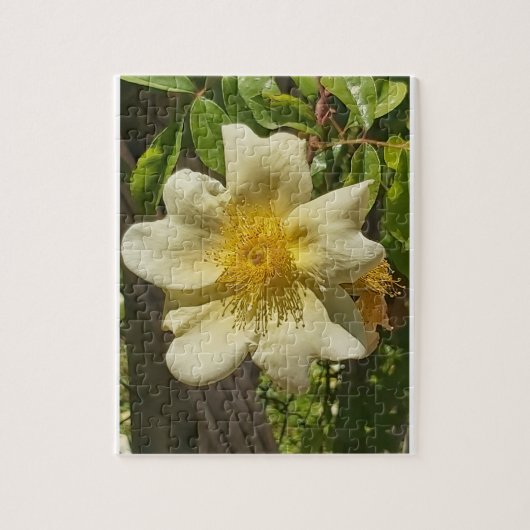 Blanca flor puzzle (Vertikal)