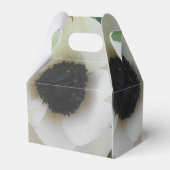 Blanchard Geschenkschachtel (Rückseite)