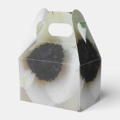 Blanchard Geschenkschachtel (Vorderseite)