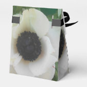 Blanchard Geschenkschachtel (Rückseite)