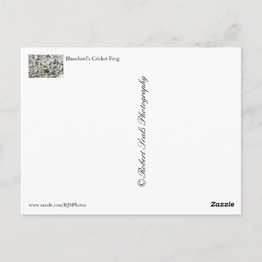 Blanchards Krickefrog Postkarte (Rückseite)
