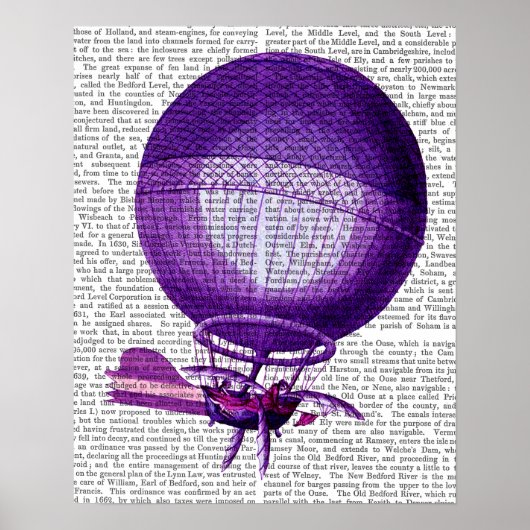 Blanchards Wasserstoff (Lila) Heißluftballon Poster (Vorne)