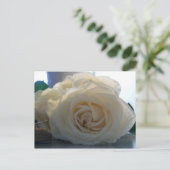 Blanche Postkarte der Serie "Classic White" (Stehend Vorderseite)