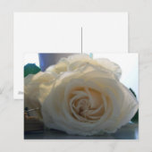 Blanche Postkarte der Serie "Classic White" (Vorne/Hinten)