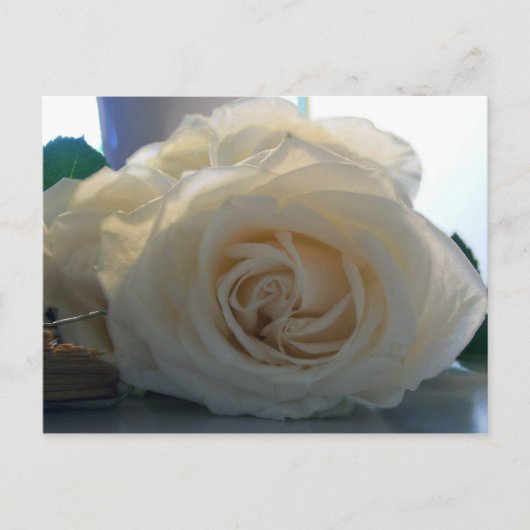 Blanche Postkarte der Serie "Classic White" (Vorderseite)