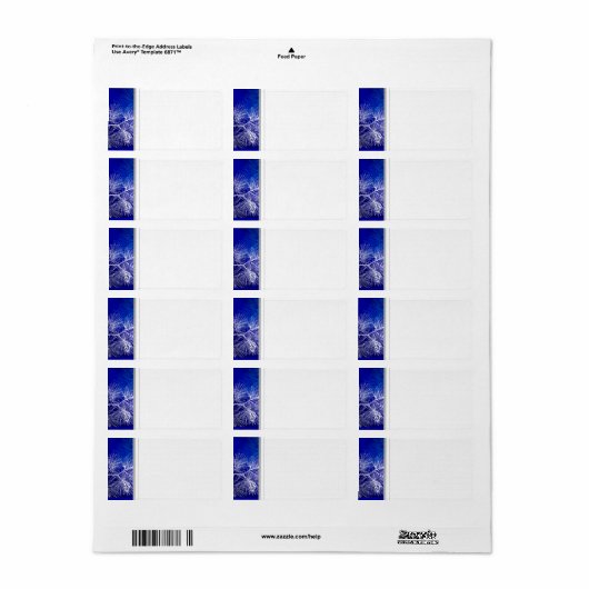 Blanche und weiße Winterpferde Adressaufkleber (Vorne)