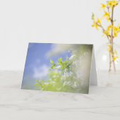 Blank Bird Cherry Tree Blüten Blume Sky Karte (Gelbe Blume)