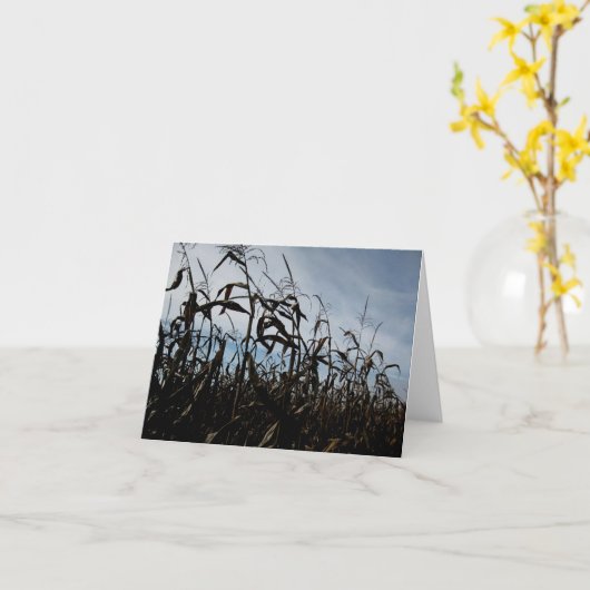Blank_Breezy Maisstalks Karte (Gelbe Blume)