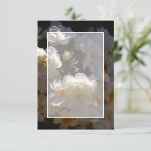 Blank Budget White Roses Hochzeit Einladung (Stehend Vorderseite)