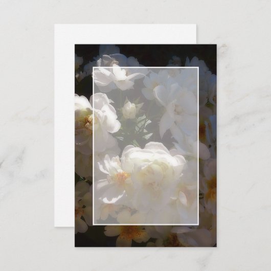 Blank Budget White Roses Hochzeit Einladung (Vorne/Hinten)