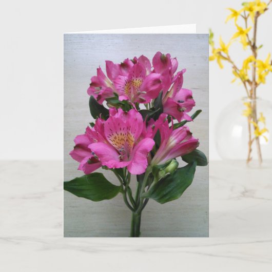 Blank Card - Alstromeria Karte (Gelbe Blume)