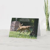 Blank Card, Baby Deh Karte (Rückseite)